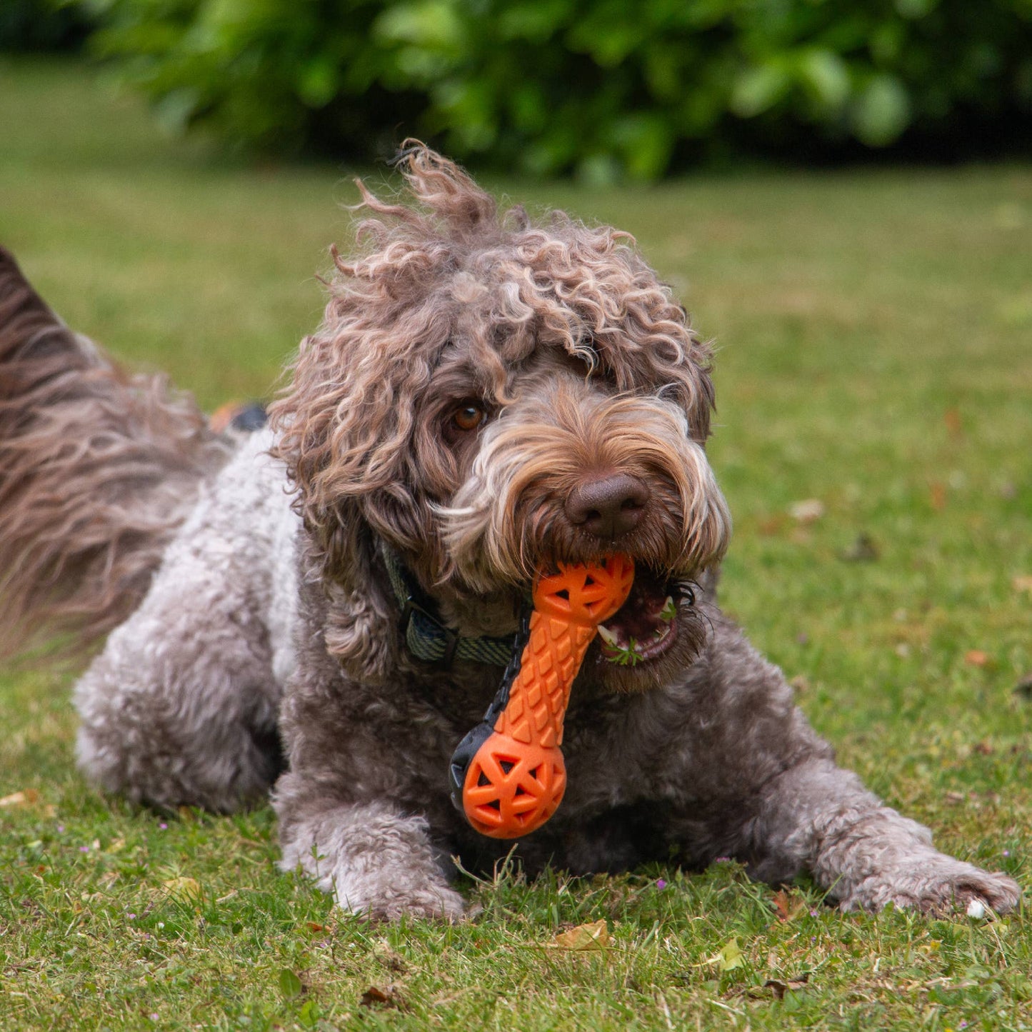 Extreme Floating Dumbell