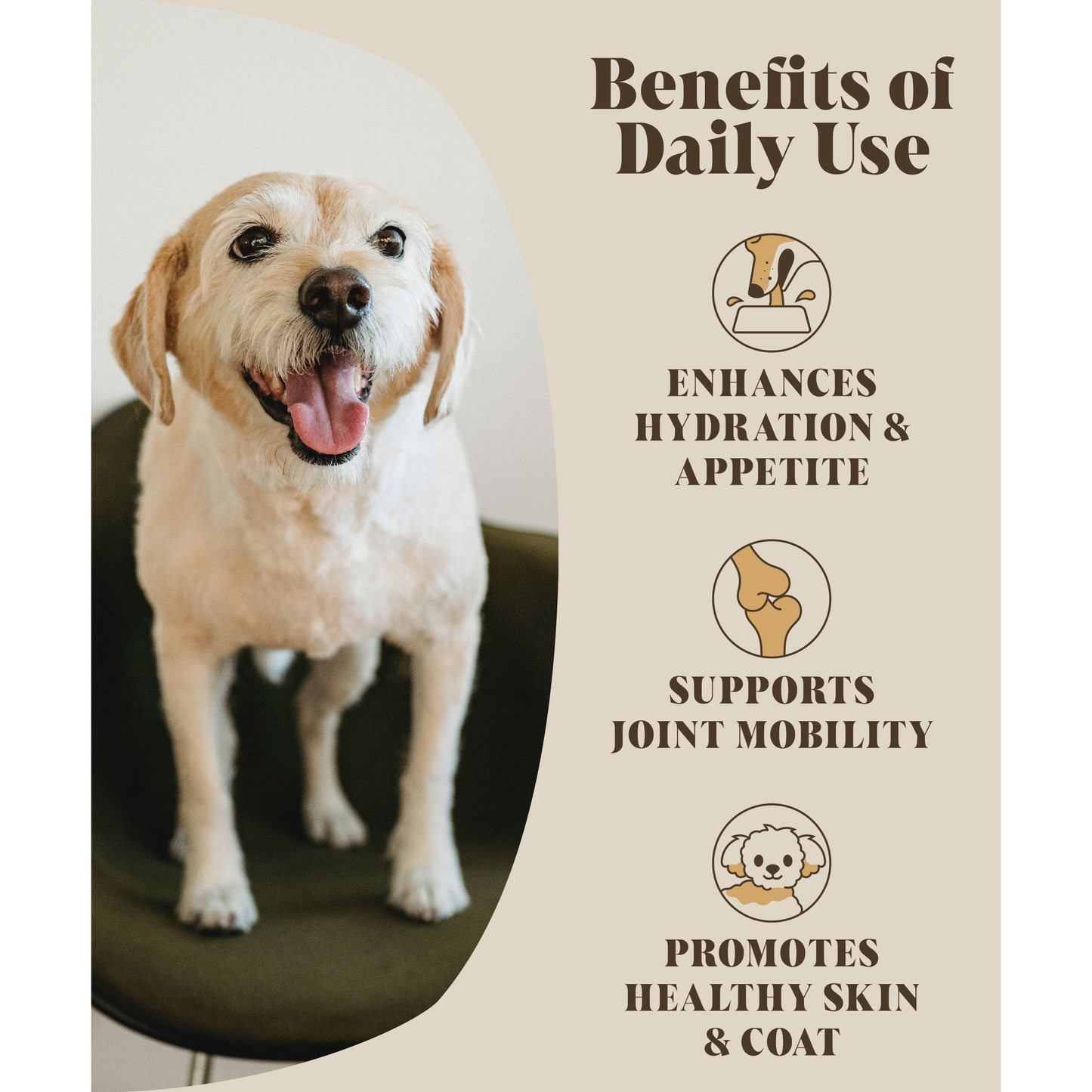 Chicken Bone Broth for Dogs | Dog Gravy Food Topper for Picky Eaters