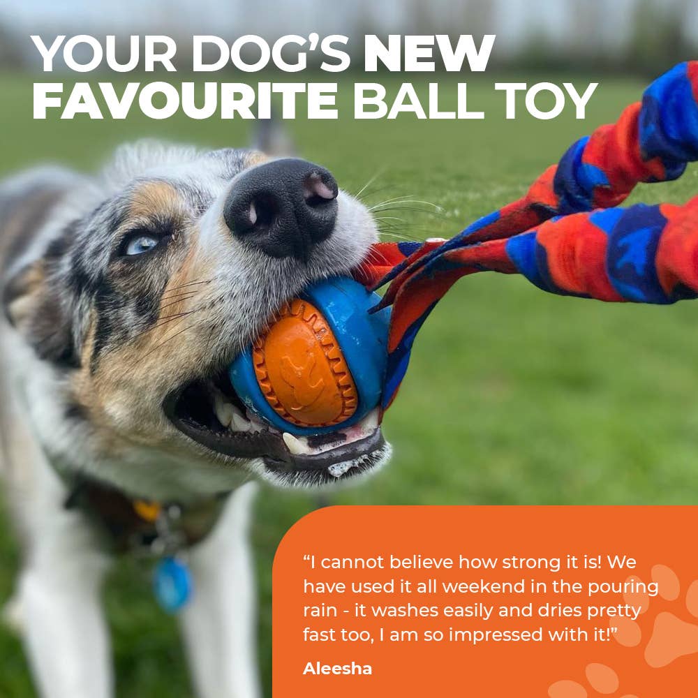 Pocket PowerBall Bungee Tug | Fetch Dog Toys | Tug-E-Nuff
