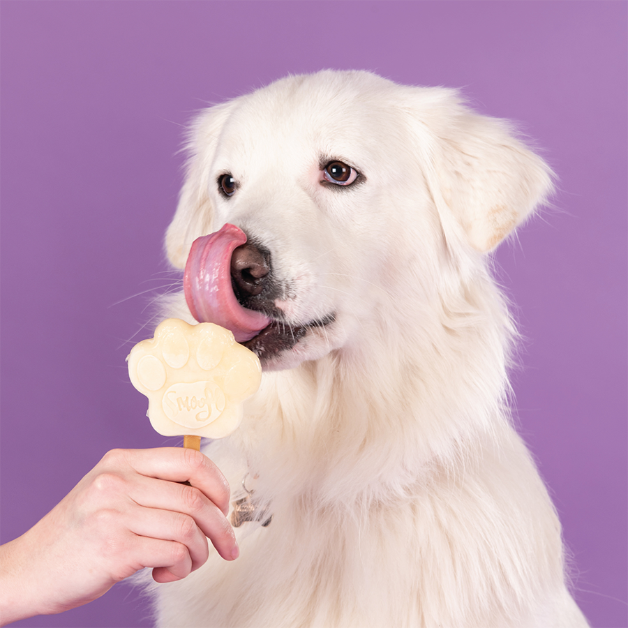 Banana Mix for Dog Ice Cream