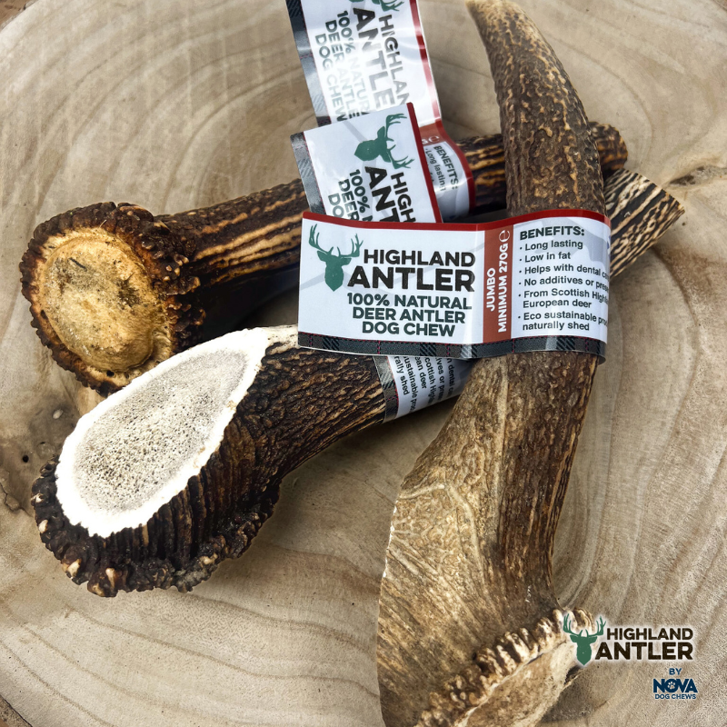 Antler Jumbo (min 270g)