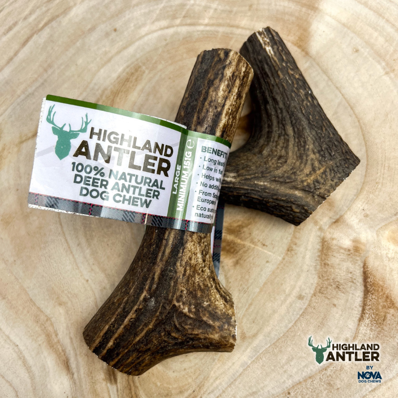 Antler Large - (min 150g)