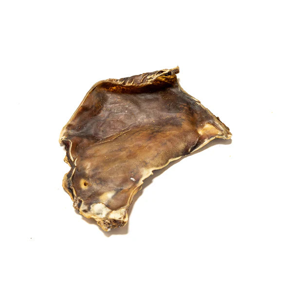 Camel Skin Plate - 1 Piece