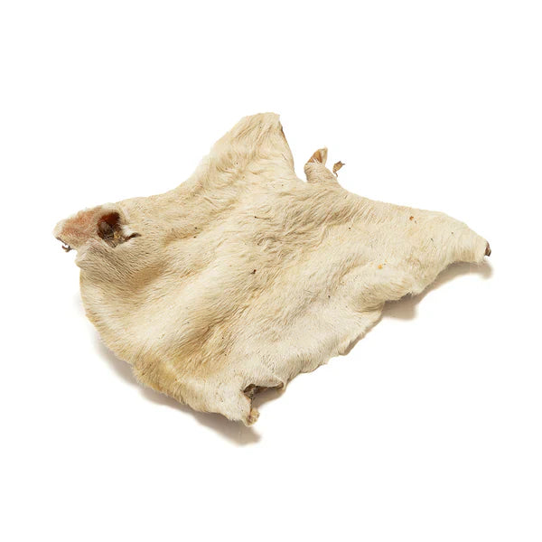 Hairy Beef Bark - 1 Piece