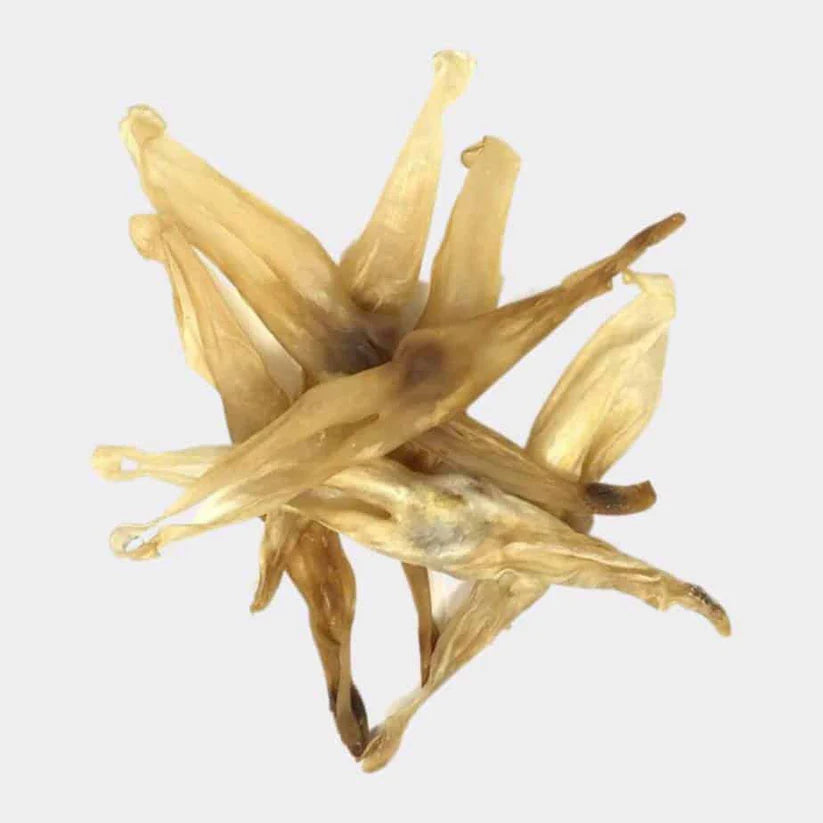 Hairless Rabbit Ears