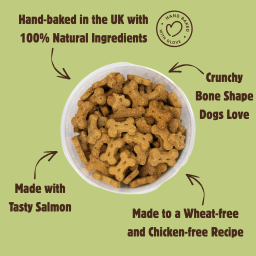 Wheat-Free Salmon & Seaweed