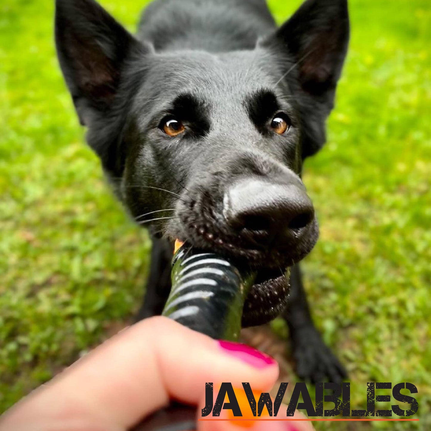 Ancol Extreme Tough Baton Dog Toy