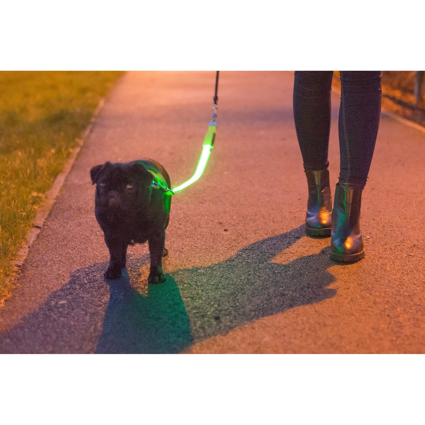 Hi-Vis Lead Attachment for Night Safety