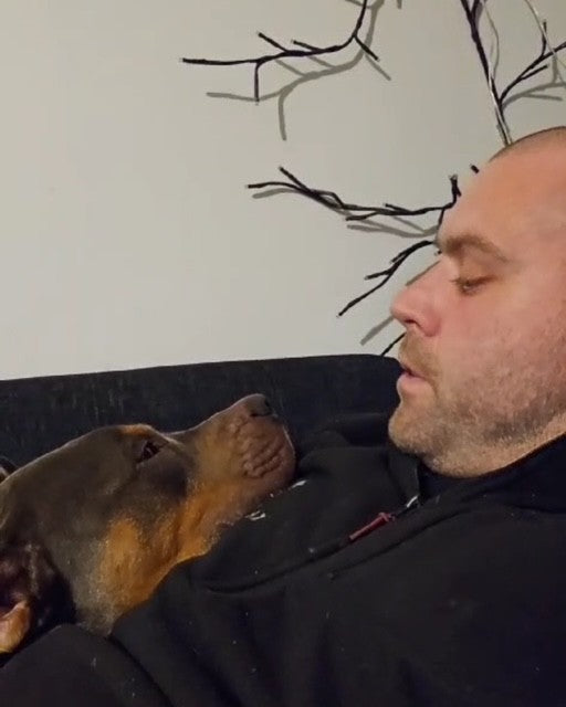 Official Stockists - K9 Prime Cuts