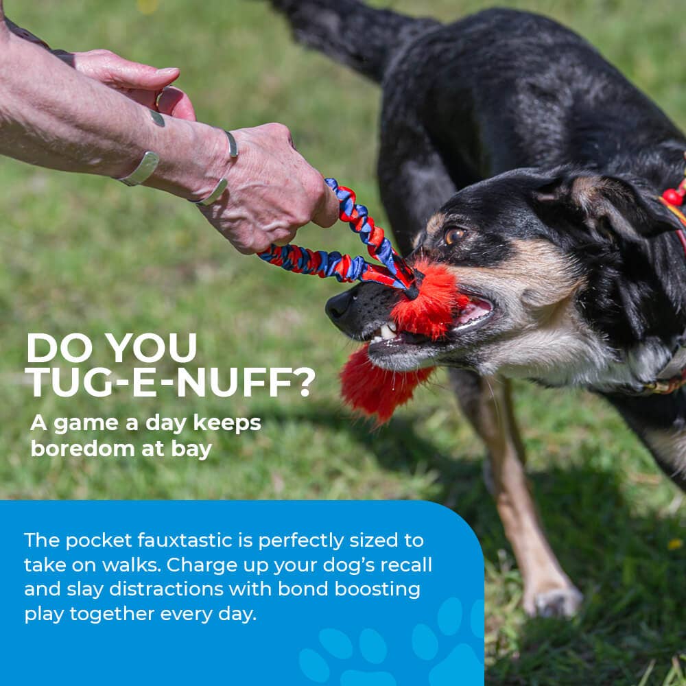 Pocket Fauxtastic | Faux Fur Pocket Tug | Tug-E-Nuff