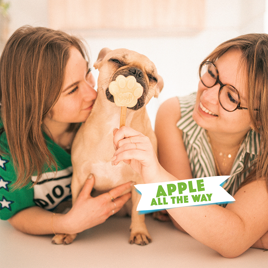 Apple Mix for Dog Ice Cream