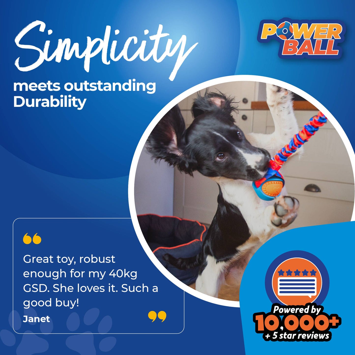 PowerBall Bungee Tug | Dog Ball Toys | Tug-E-Nuff