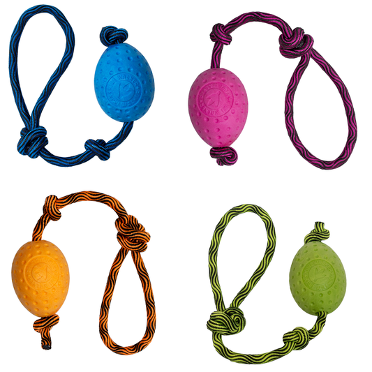 KIWI Walker EGG Dog Toy