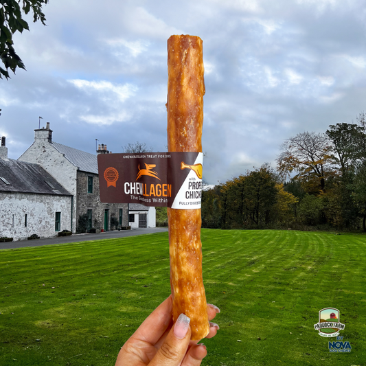 Chewllagen - 10inch Roll