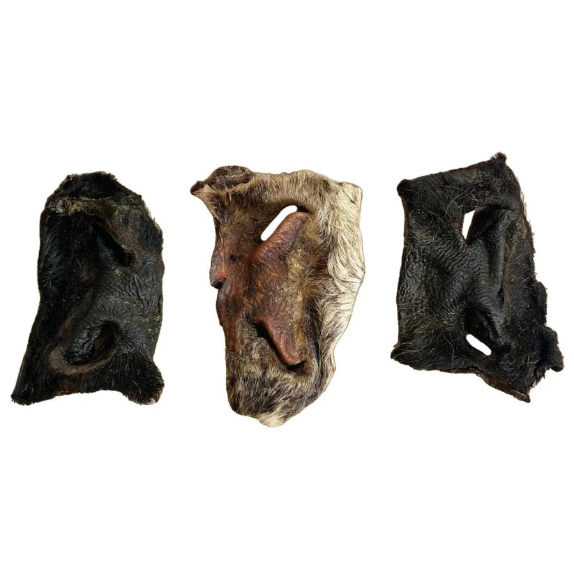 Hairy Beef Noses - 1 Piece