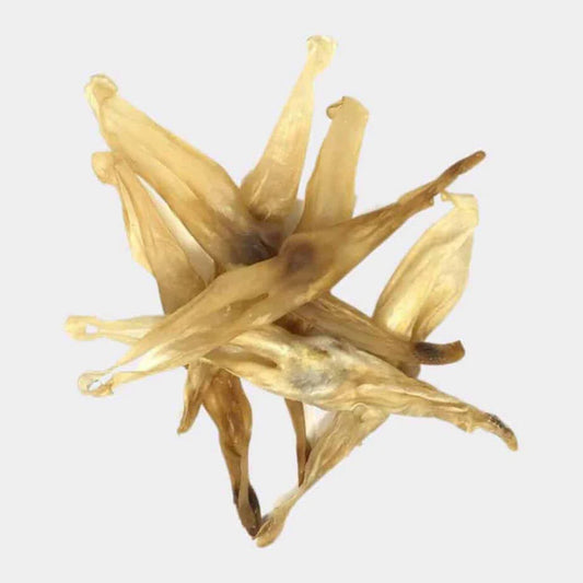 Hairless Rabbit Ears