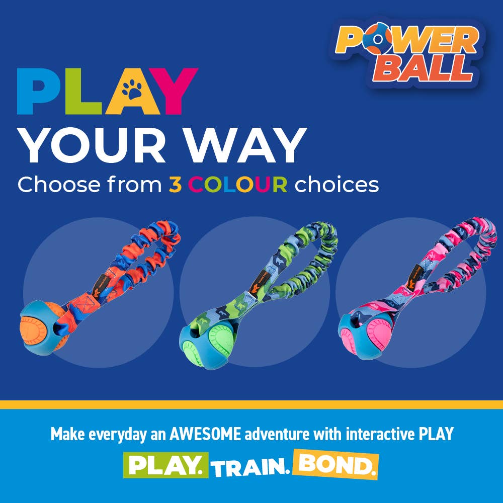 Pocket PowerBall Bungee Tug | Fetch Dog Toys | Tug-E-Nuff