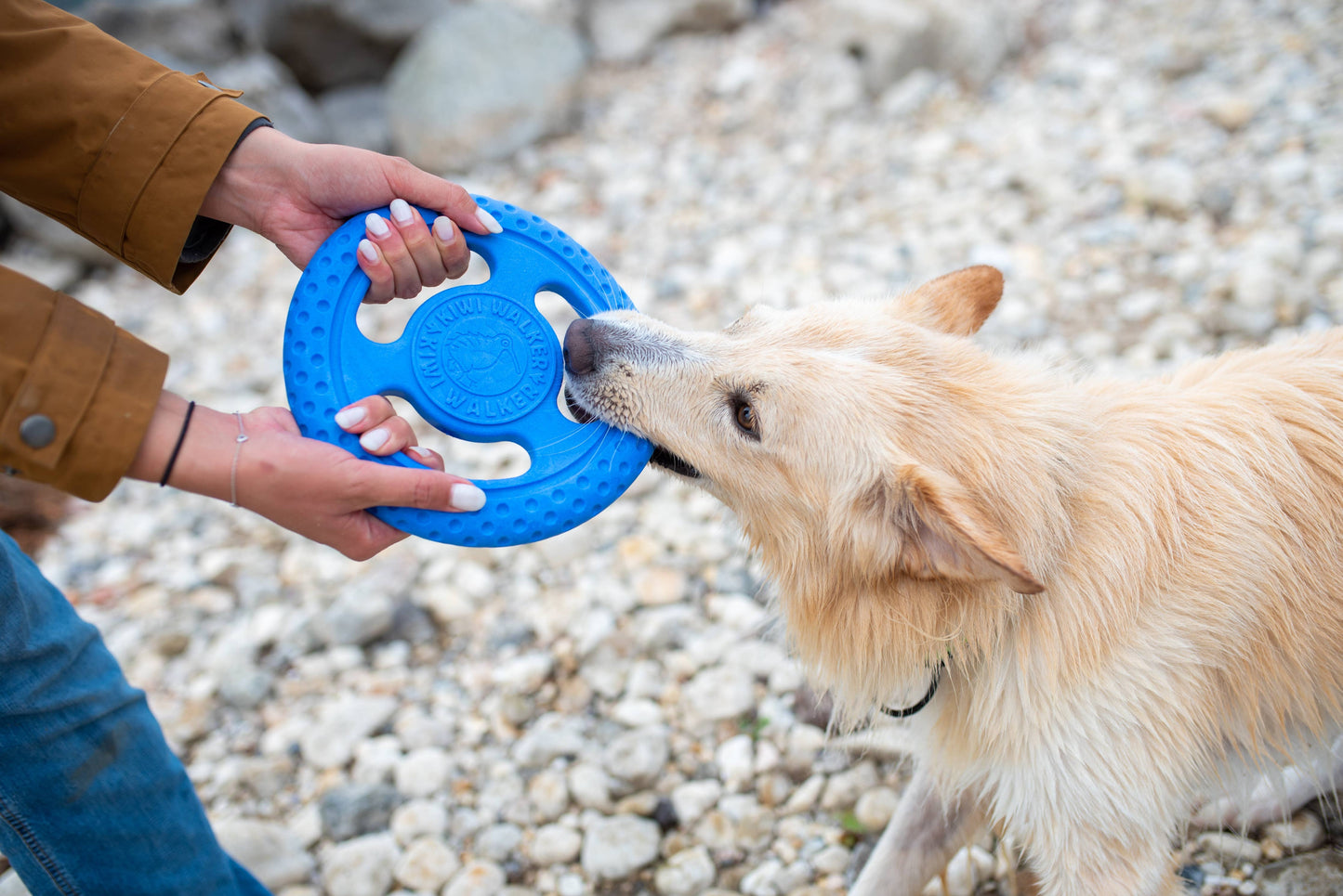 KIWI Walker Dog Toy TPR Foam Frisbee