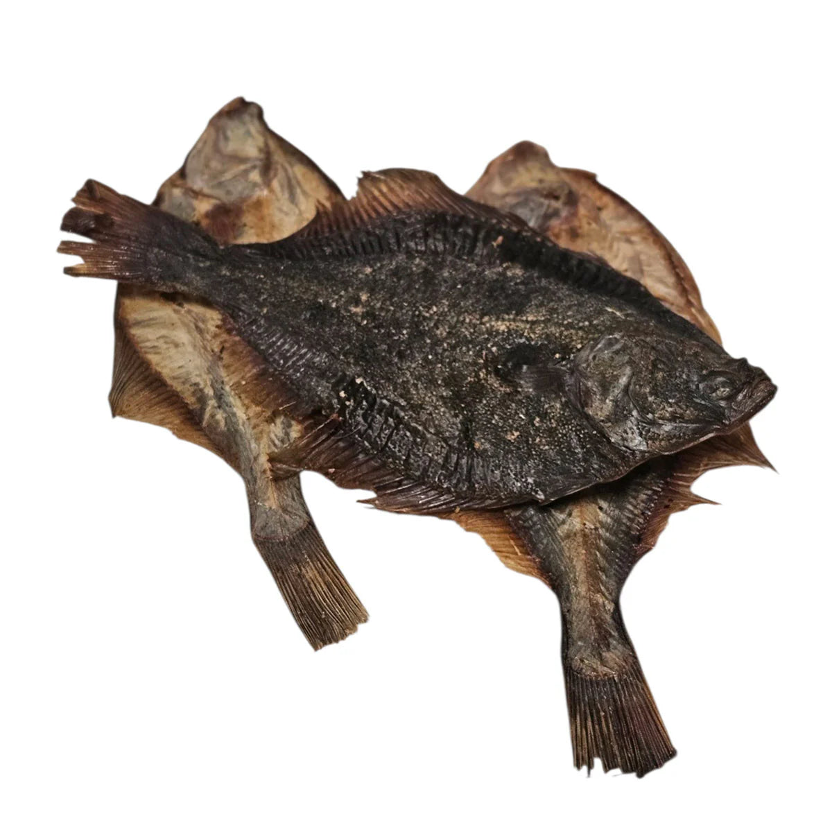 Whole Flounder Fish - 3Pack